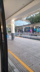 Behobia San Sebastian tren